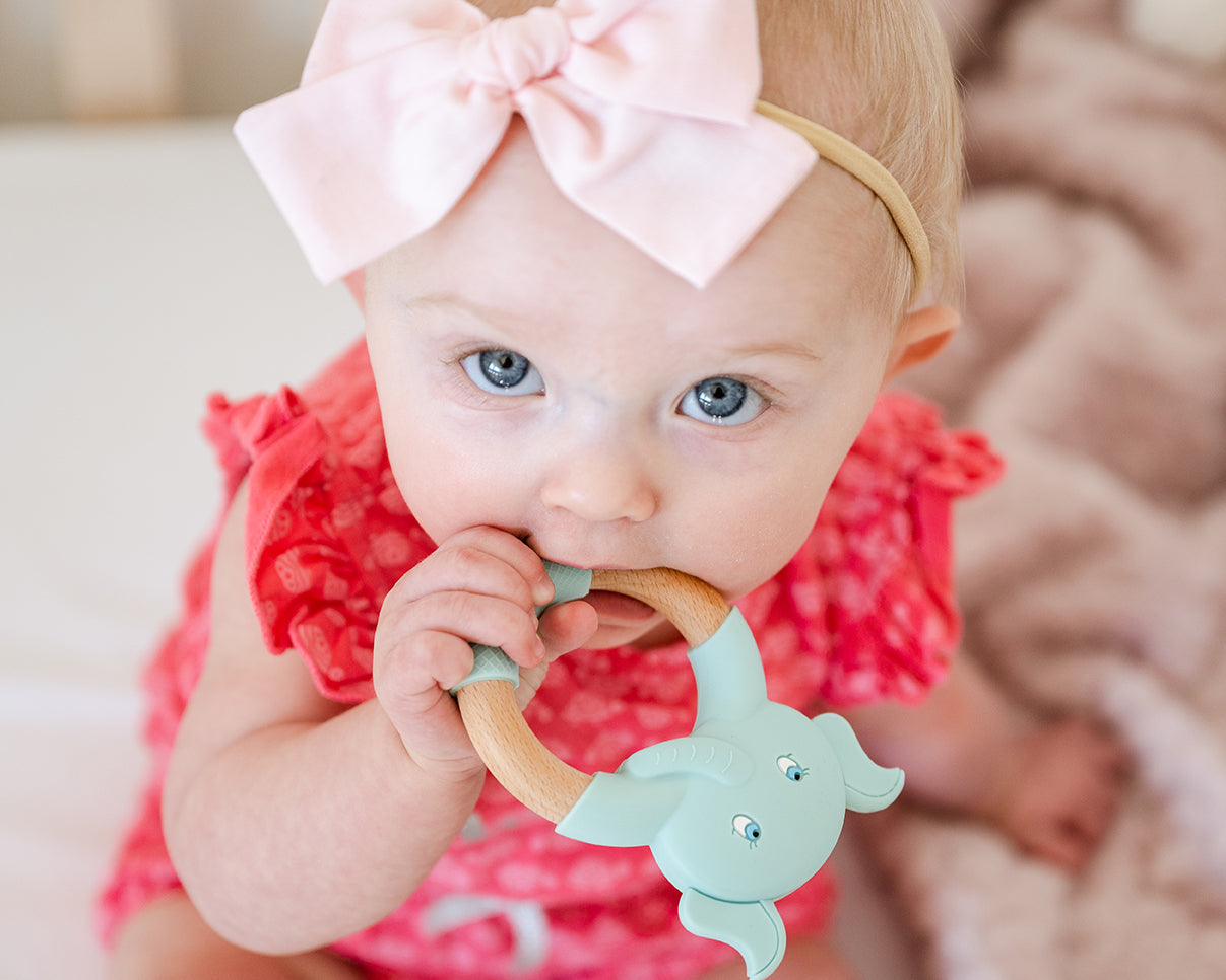 St. Francis' Elephant Teether