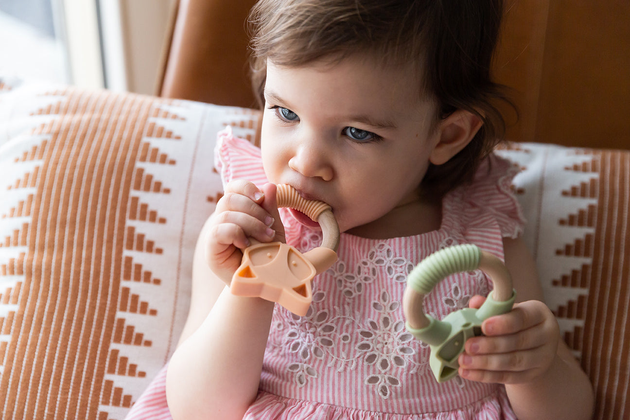 Saint Francis' Friendly Fox Teether