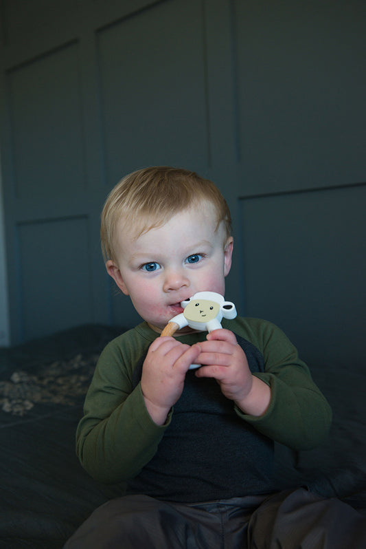 St. Francis' Baby Lamb Teether