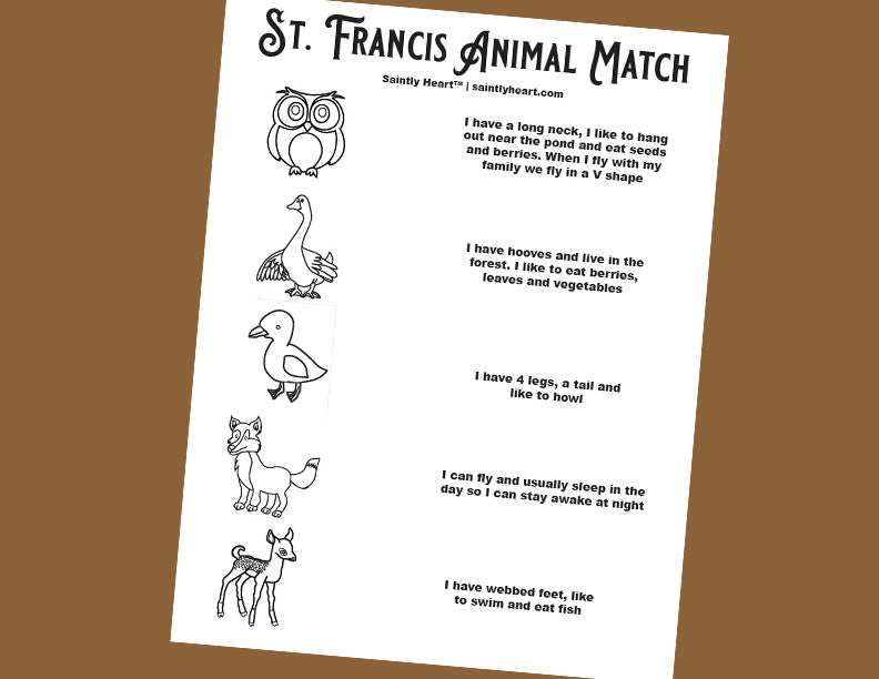 St. Francis Animal Match